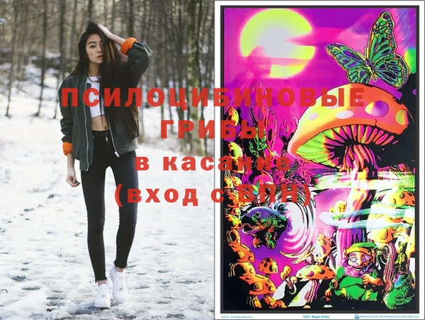 трава Арсеньев