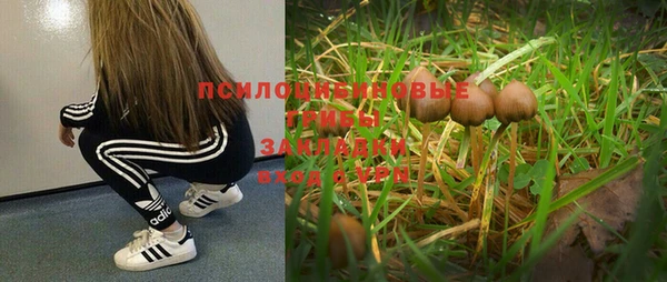 гашик Армянск