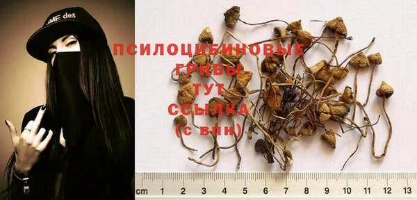 трава Арсеньев