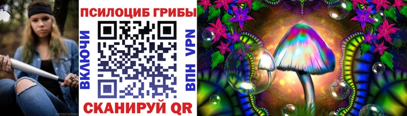 Псилоцибиновые грибы Psilocybe  купить наркоту  Мурманск 